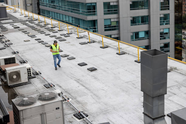 Best Rubber Roofing (EPDM, TPO)  in Dunlap, IL