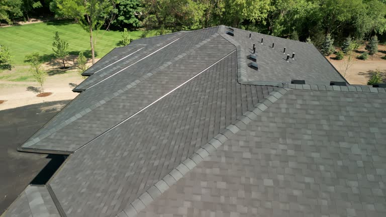 Best Asphalt Shingles Roofing  in Dunlap, IL