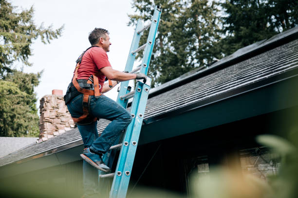 Best Flat Roofing  in Dunlap, IL