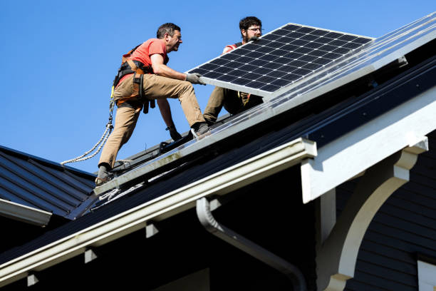 Best Gutter Replacement  in Dunlap, IL