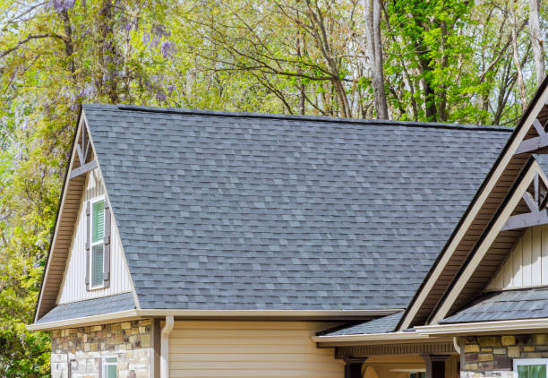 Best Skylight Installation and Repair  in Dunlap, IL