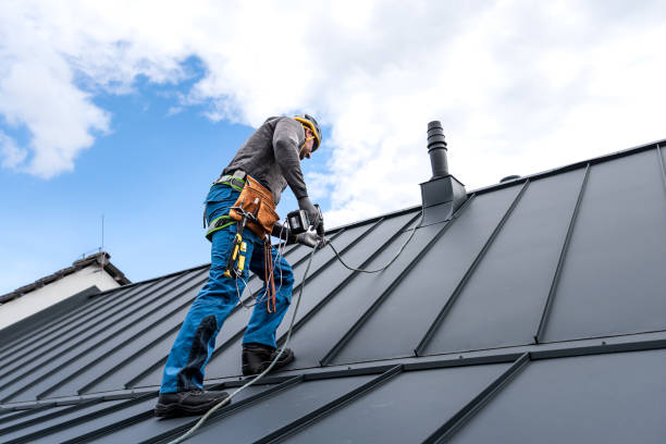 Best Roof Moss and Algae Removal  in Dunlap, IL