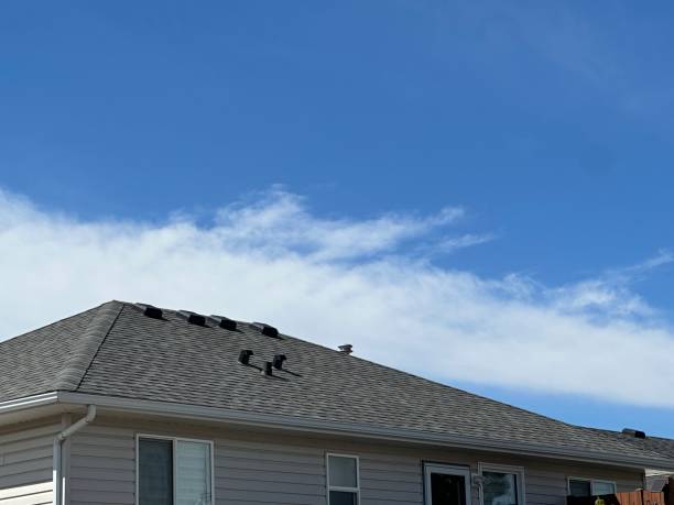 Best Roof Insulation Installation  in Dunlap, IL