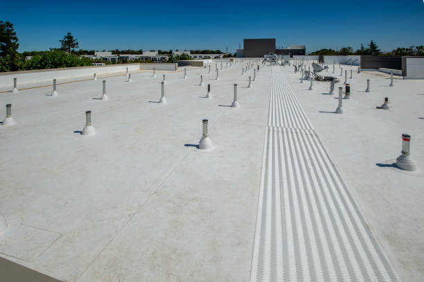 Best Solar Panel Roofing Installation  in Dunlap, IL